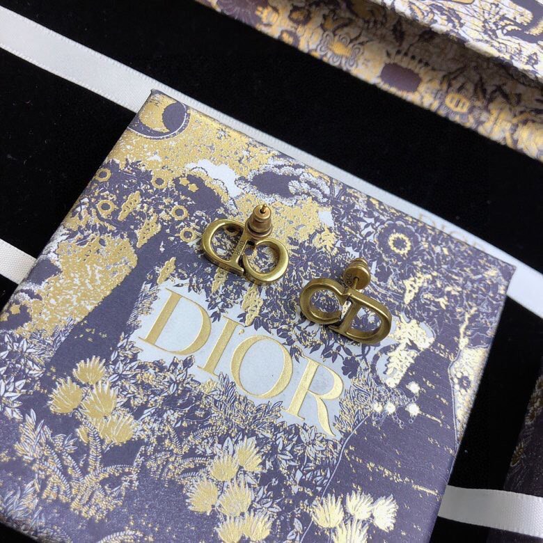 Christian Dior Earrings